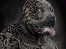 Tattooed The Dog