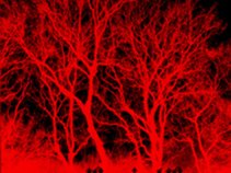 Tropical Terror - SHAMAN FILMS RECORDS