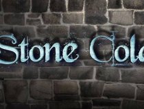 The Stone Cold Killers