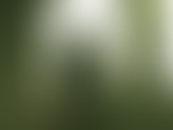 1425154861 phil bentley 2 