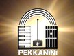 PEKKANINI • Theremins and more!