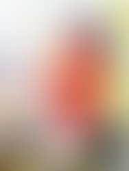 Polish 20211007 094704585