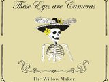 These Eyes Are Cameras