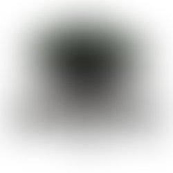 1425497303 rf logo color