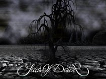 Seeds of Destiny