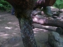 Post Work In Progress