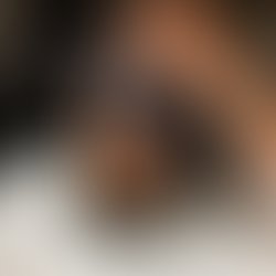 1 profile image 2026