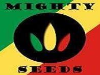 Mighty Seeds
