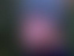 20972672 8bb2 45cd 87c7 a9f4b92cfc1b 5468 0000048587c72f6f