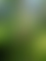 20240817 081524