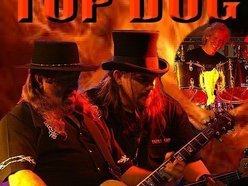 Image for TOP DOG