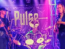 ¥•PULSE•¥