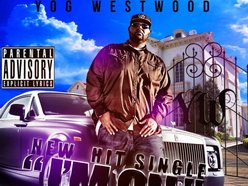 YOG WESTWOOD