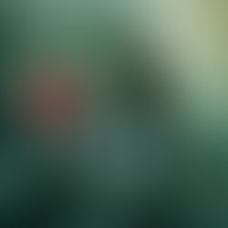 Co werkerz cover final