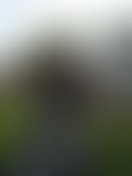 Img 20171123 143332