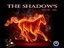 The Shadow's / OFCO Studio (Artist)