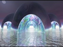 Digital Transgressions