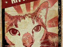 Kitty Litter