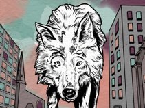 Wild Wool