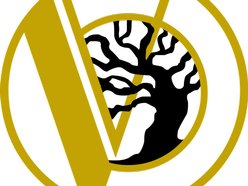 Image for Voices in the Trees