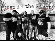 Dogs In The Fight