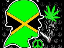 Peace Company