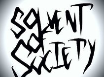 Solvent of Society
