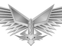 S-1