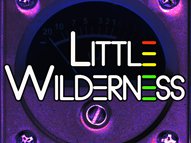 Little Wilderness