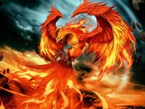Rise Through The Ashes
