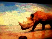 rhino play ground