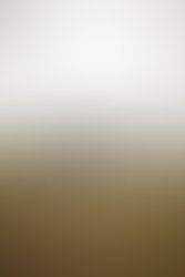 1313537461 10150393708370075 22128935074 17196544 3552335 n