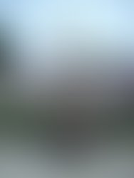 1416739769         promodj 3468593 