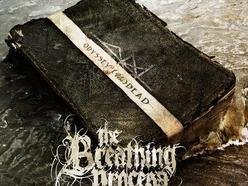 Image for The Breathing Process