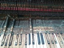 Matt King Piano
