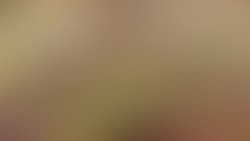 12001094 723998144400467 5549731832356583318 o