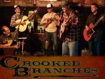 Crooked Branches