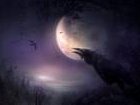 Grave Raven