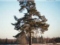 Siberia*