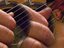 Instrumental Guitar Work Of Marco Capelli Frucht