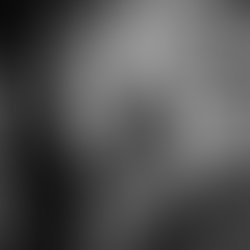 1445868192 431e38d86a77aed48d5bc8e930e7988eb1eae71b