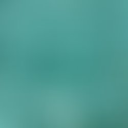 1572236873129 branneuwetcover