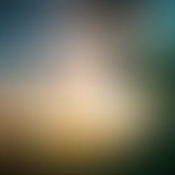Thewavespotifty