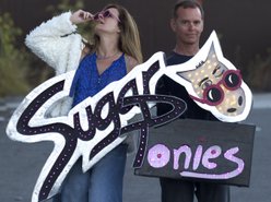Image for Sugar Ponies