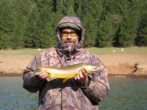 Hook Jaw Brown