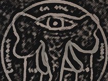 Elephant on the Moon