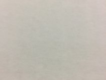 The Brothers Beckham