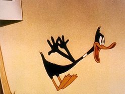 Image for Rob Waller