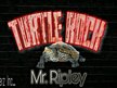 Mr. Ripley