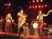 Top 10 Rock and Roll Revue
